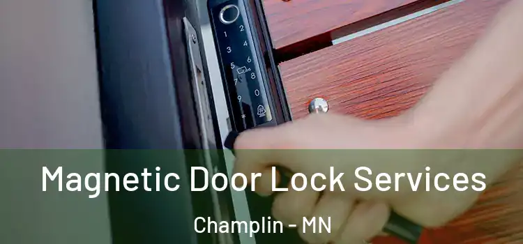 Magnetic Door Lock Services Champlin - MN