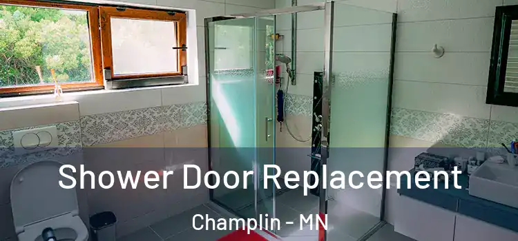 Shower Door Replacement Champlin - MN